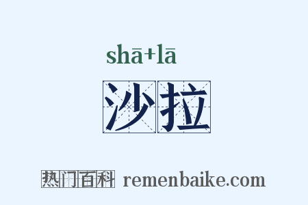 沙拉是什么意思的图片